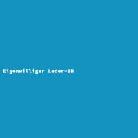 Eigenwilliger Leder-BH