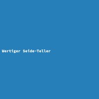 Wertiger Seide-Teller